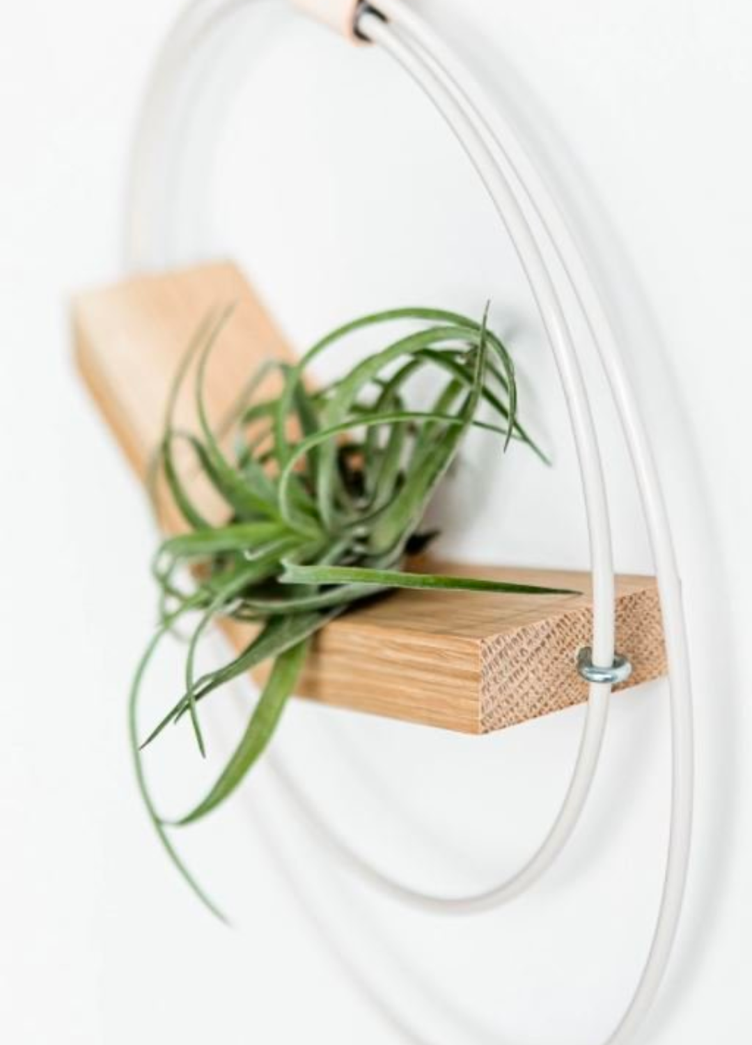 Large V-Hanger - Light & Airy