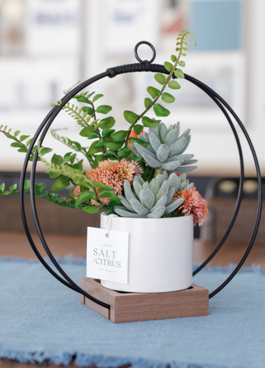 Medium Plant Hanger - Dark & Stormy