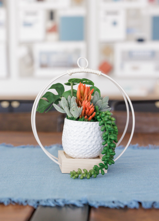 Small Plant Hanger - Light & Airy